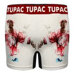 American Rapper Tupac Amaru Shakur Painting Men's Underwear