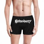 Biggie Smalls The Notorious Logo Pinstripes Men's Boxers
